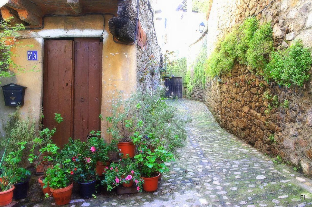 Casa Rural Estrela ซาน มาร์ติน เด เตรเวโฮ ภายนอก รูปภาพ